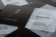 Frost PVC Plastic Business Card 3