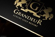 Luxury Gold Metal Business Card 6