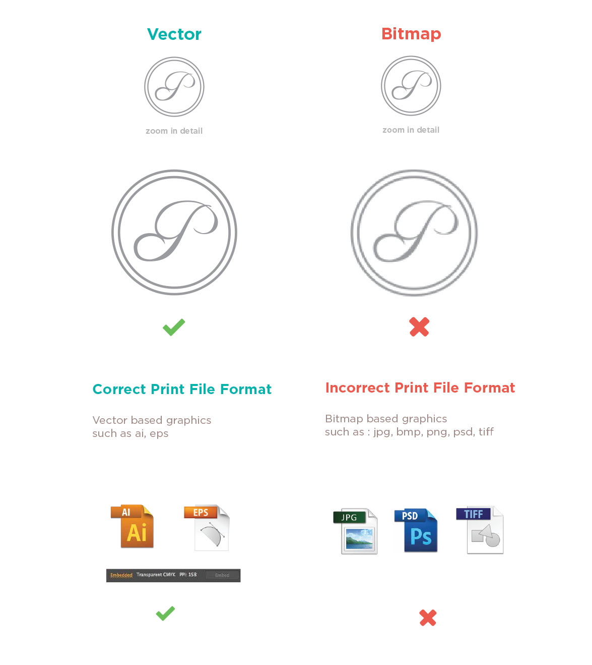 Vector Vs Bitmap